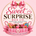 Sweet Surprise Box Co. - Home